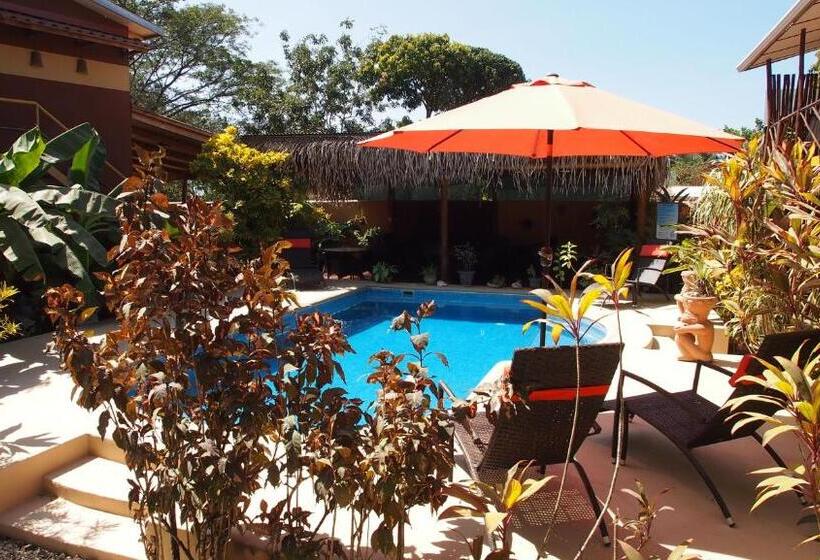 تختخواب و صبحانه Samara Palm Lodge