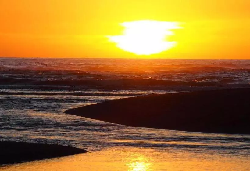 Aamiaismajoitus (B&B) Samara Palm Lodge