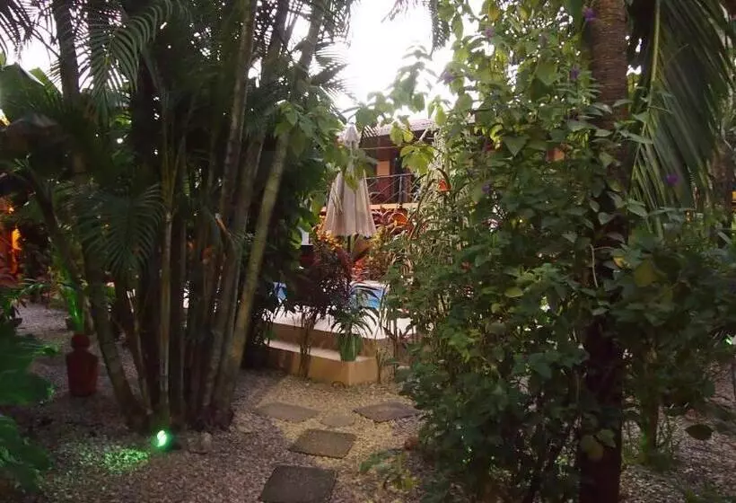 Aamiaismajoitus (B&B) Samara Palm Lodge