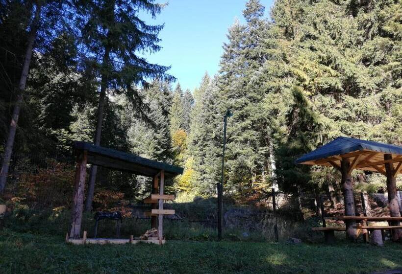 בית מלון כפרי Hostel Cppi Vest