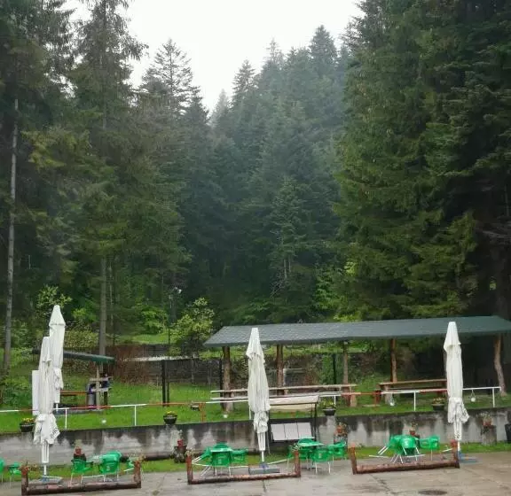 Hotel Hostel Cppi Vest