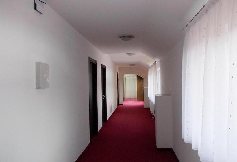 בית מלון כפרי Hostel Cppi Vest