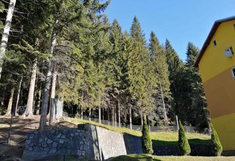 בית מלון כפרי Hostel Cppi Vest