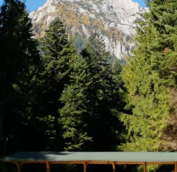 Hotel Hostel Cppi Vest