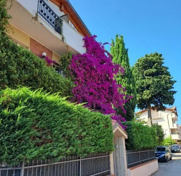 B&b Carlotta