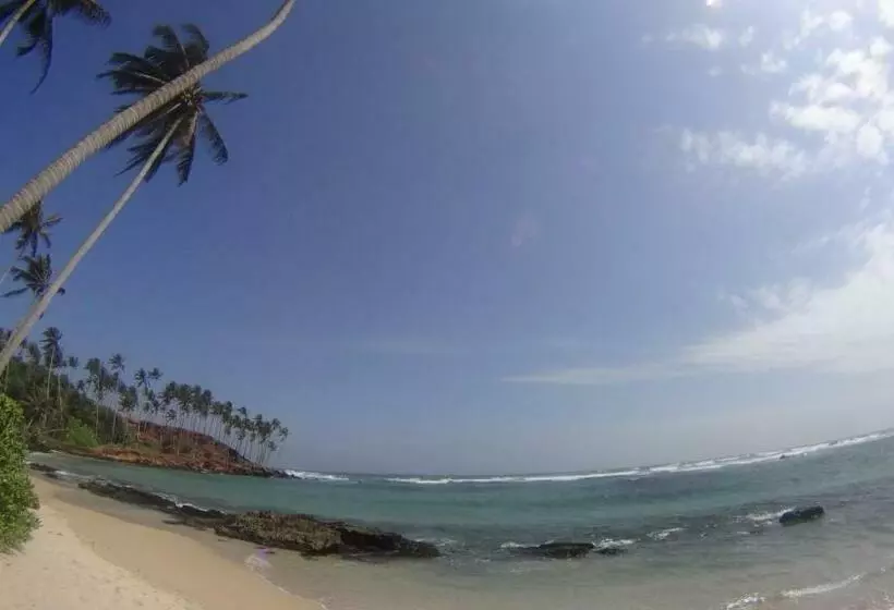 ベッドアンドブレックファースト Heaven Star Rest