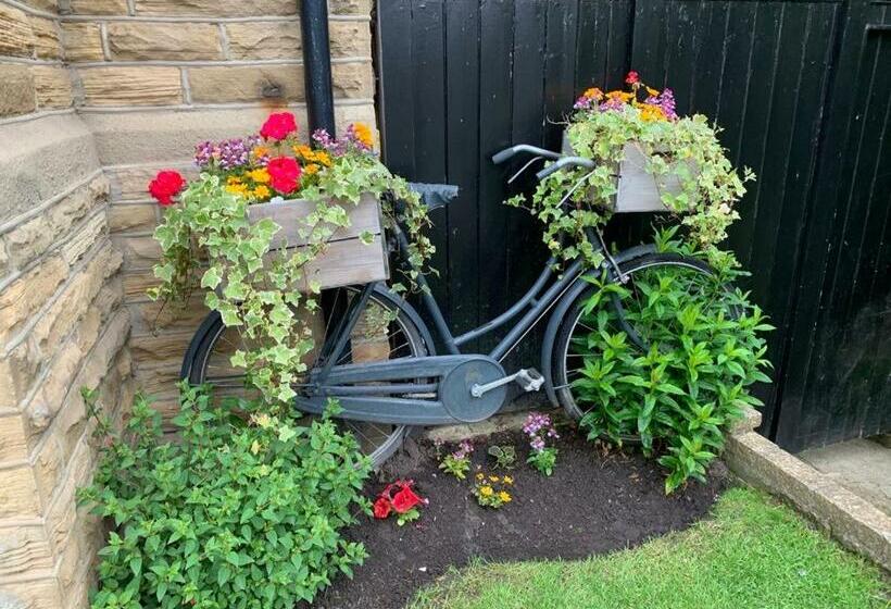 مبيت وإفطار Shelbourne House