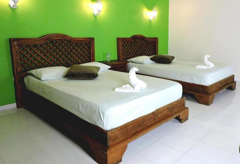 בית מלון כפרי Valladolid