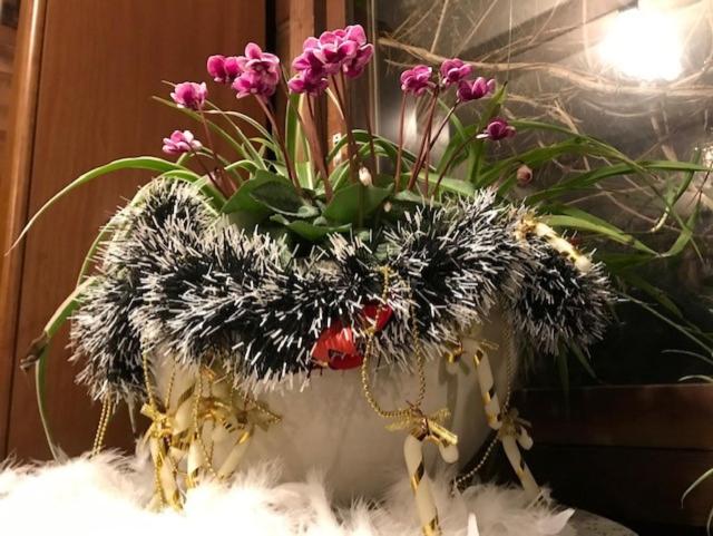 Yamagata Zao Pension Aplon Stage