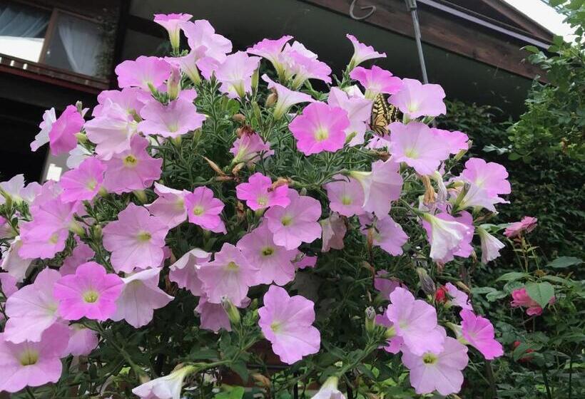 Yamagata Zao Pension Aplon Stage