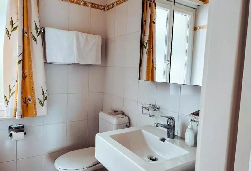 Art Hotel Ristorante Posta Al Lago