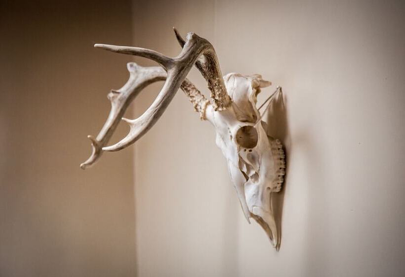 تختخواب و صبحانه Pueblo Bonito Santa Fe