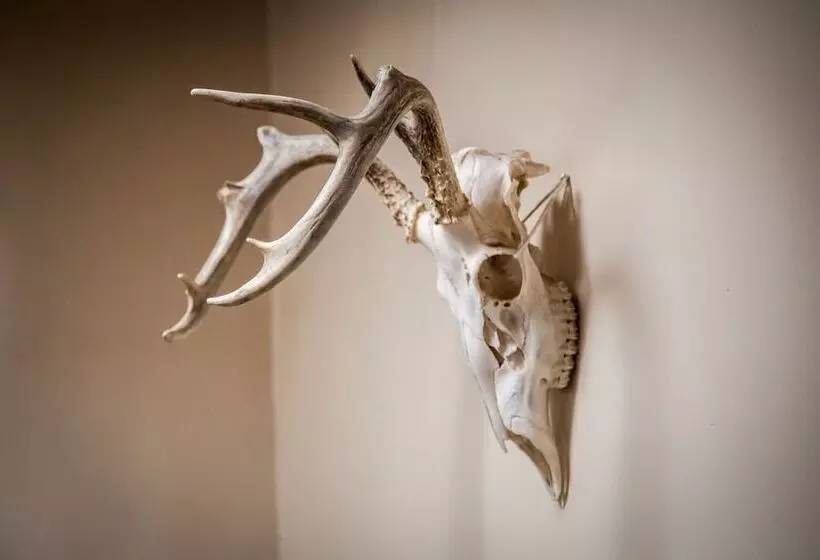 ベッドアンドブレックファースト Pueblo Bonito Santa Fe