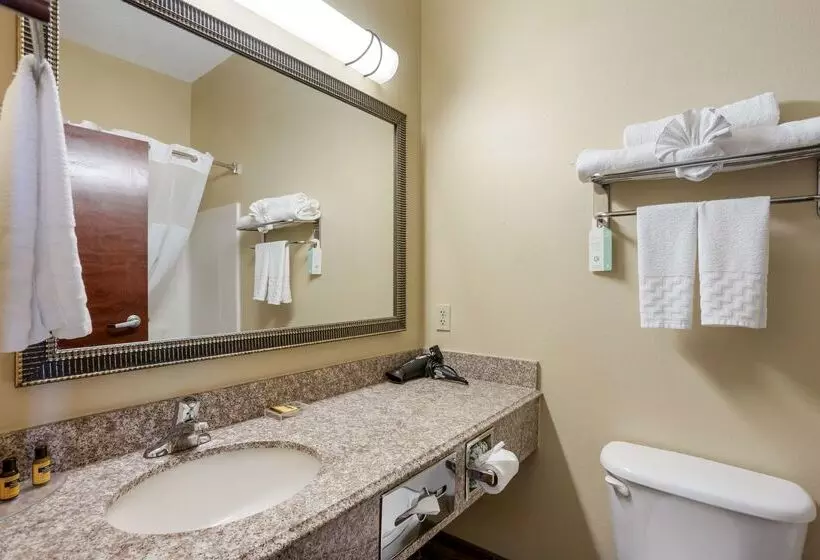 هتل Best Western Plus Springfield Airport Inn