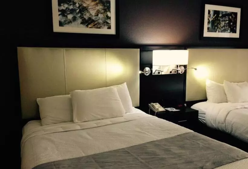 酒店 Cherokee Grand