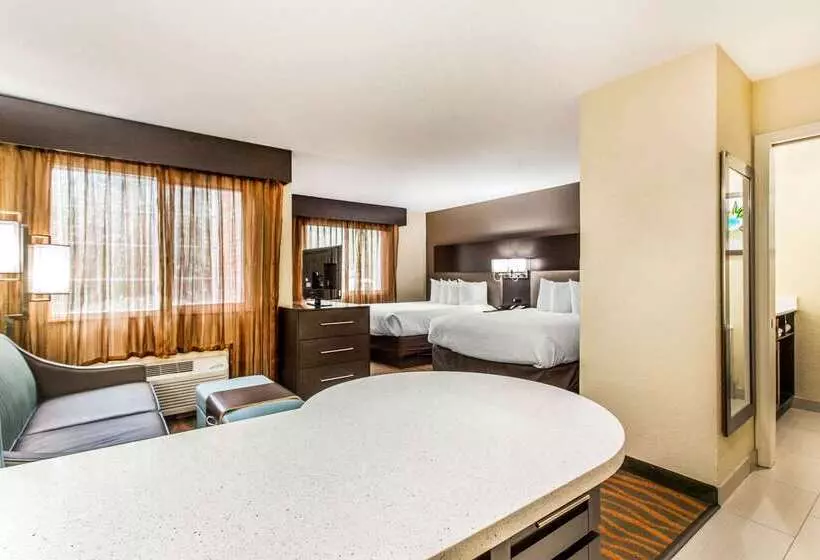 Hotel Mainstay Suites Greenville Airport