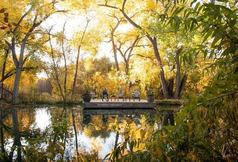 هتل Ojo Santa Fe Spa Resort