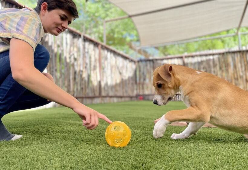 هتل Ojo Santa Fe Spa Resort