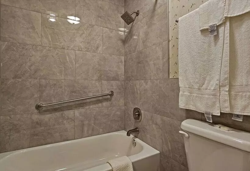 ホテル Quality Inn