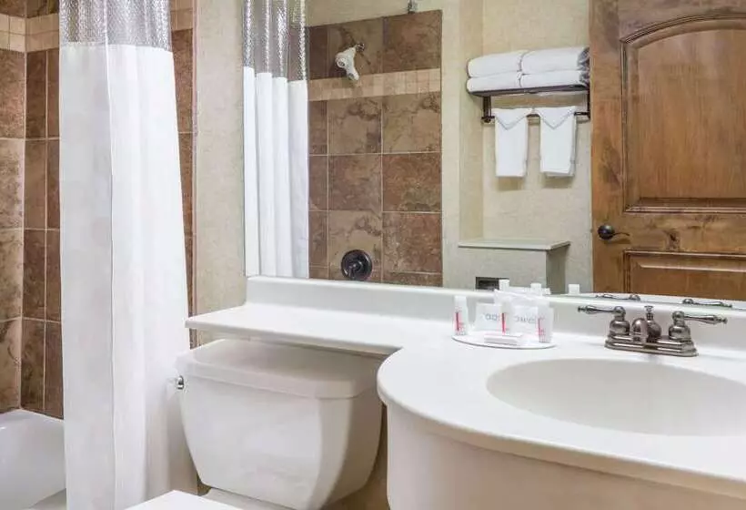 호텔 Ramada By Wyndham Frisco