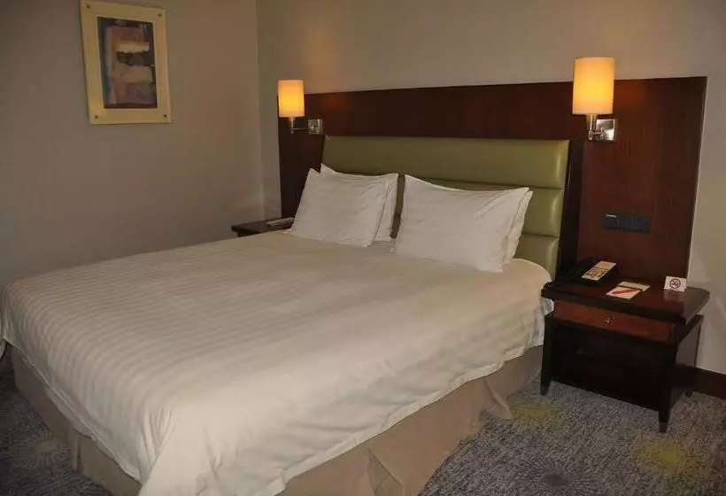 酒店 Ramada Plaza Pudong Shanghai