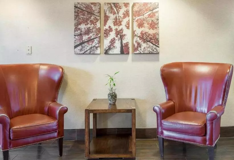 هتل Red Roof Inn & Suites Dover Downtown