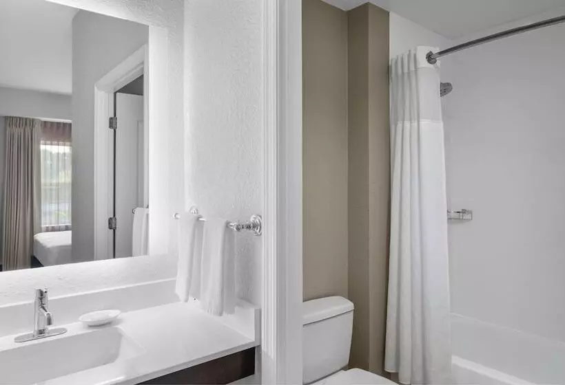 호텔 Residence Inn Tampa Oldsmar