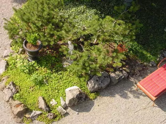 Отель Restaurant Belvedere