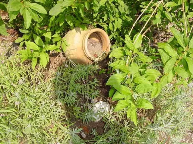 Отель Restaurant Belvedere