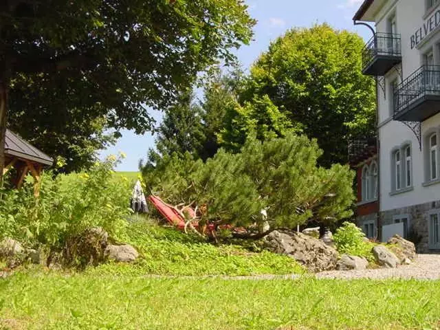 Отель Restaurant Belvedere