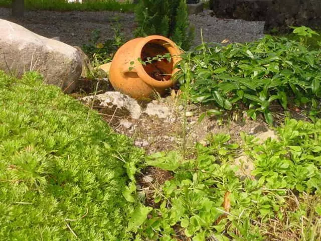 Отель Restaurant Belvedere