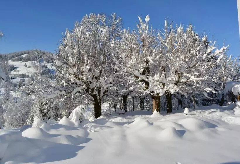 Отель Restaurant Belvedere