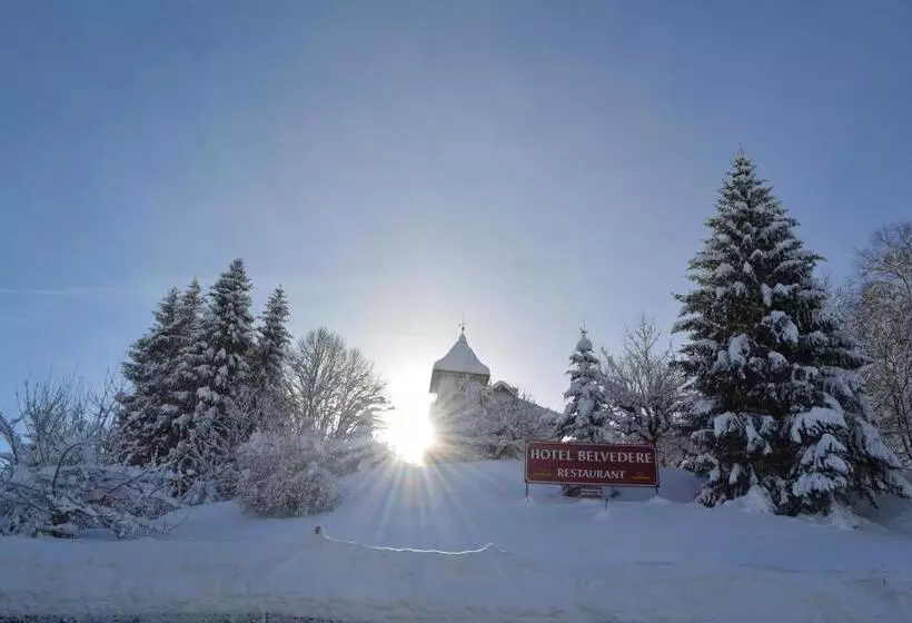 Отель Restaurant Belvedere