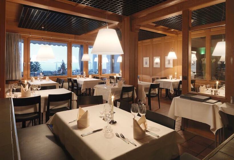 هتل Seeblick Hohen