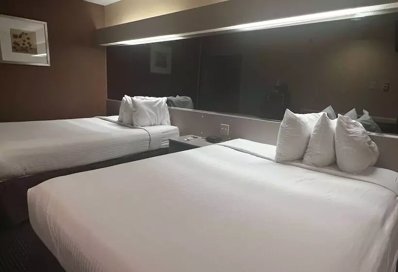 Microtel Inn & Suites By Wyndham Houston/webster/nasa/clearlake