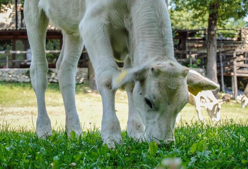 Agriturismo La Ferrera