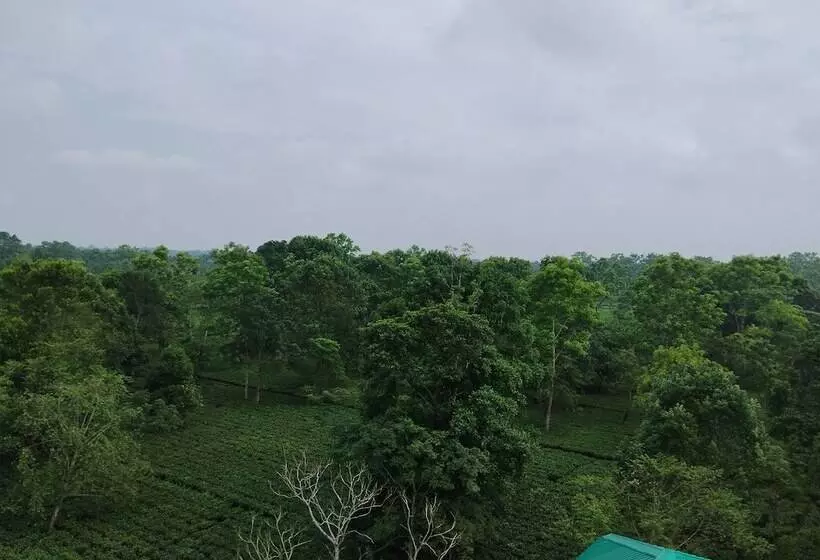 ホテル Maa Greenery View