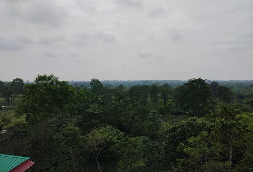 ホテル Maa Greenery View