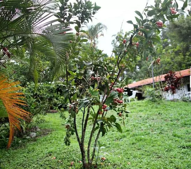 ホテル Mamallena Ecolodge