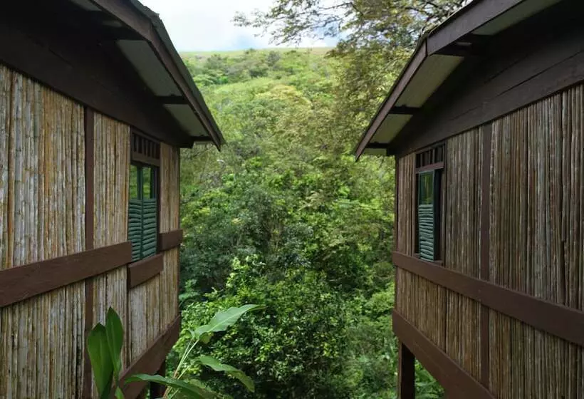 ホテル Mamallena Ecolodge