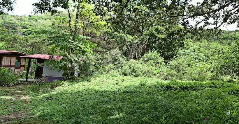 ホテル Mamallena Ecolodge