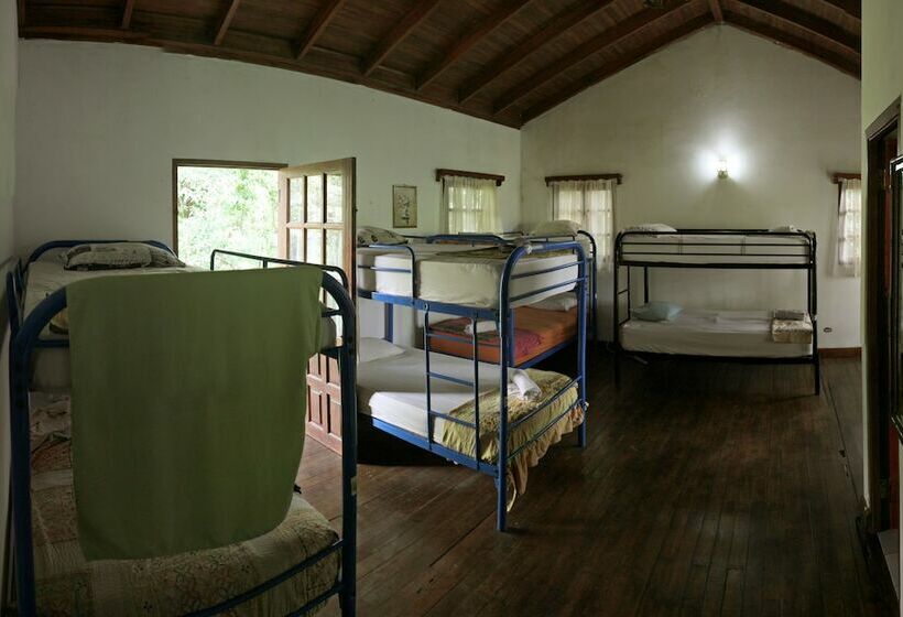 Отель Mamallena Ecolodge