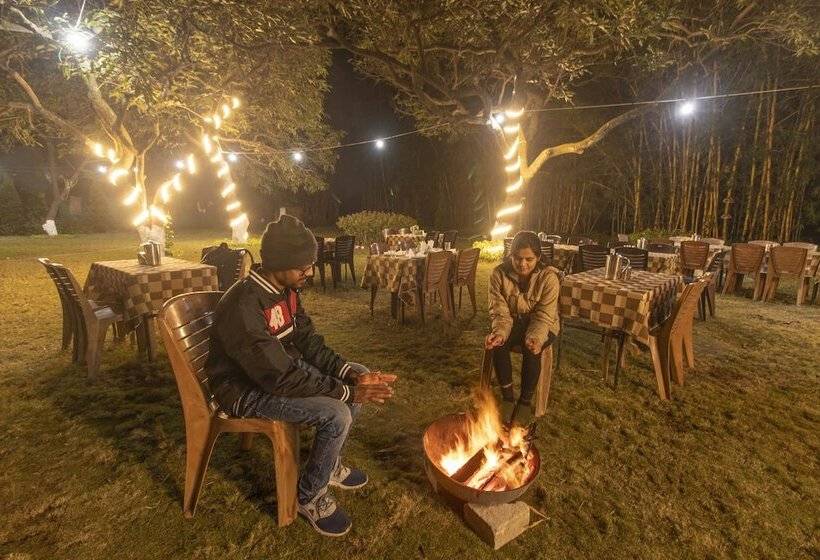 Hotel Wow Stayz Misty Meadows