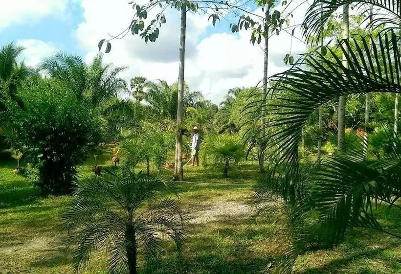 Majatalo Coconut Valley Bed & Breakfast