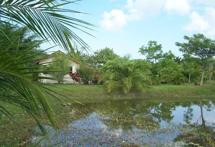 Majatalo Coconut Valley Bed & Breakfast