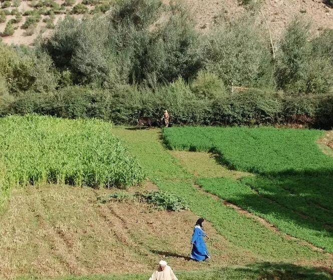 پانسیون Ecolodge Dar Itrane