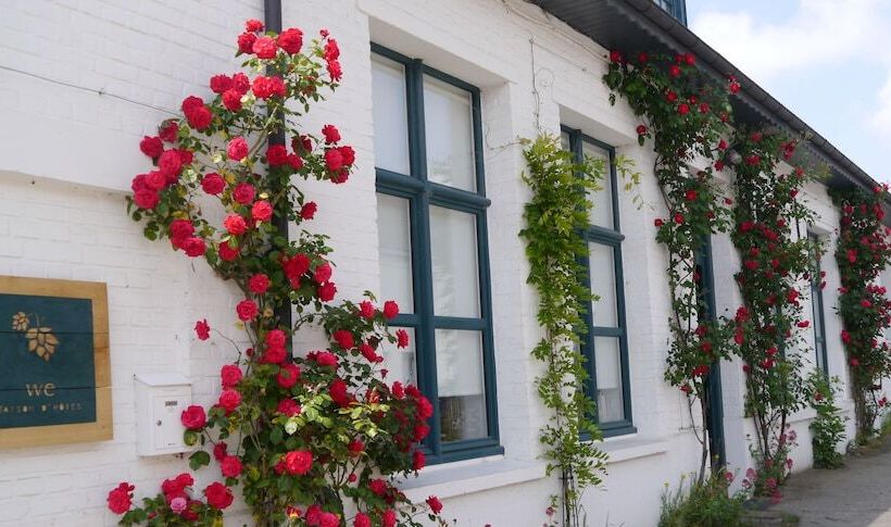 بنسيون We Maison D Hotes