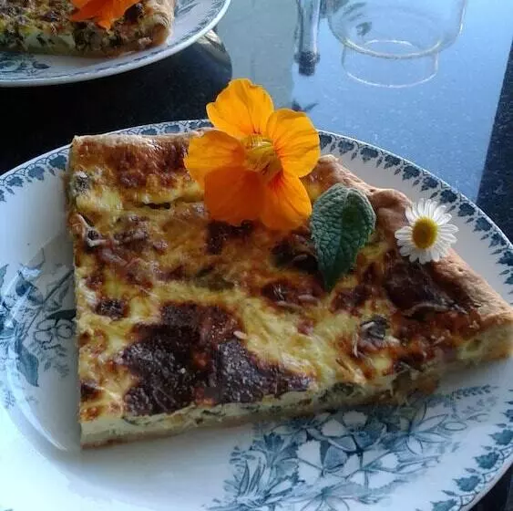 Majatalo We Maison D Hotes