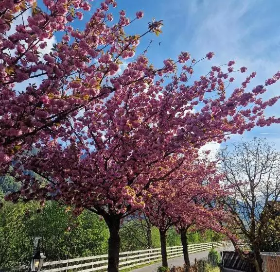 Aamiaismajoitus (B&B) Kesslwirt