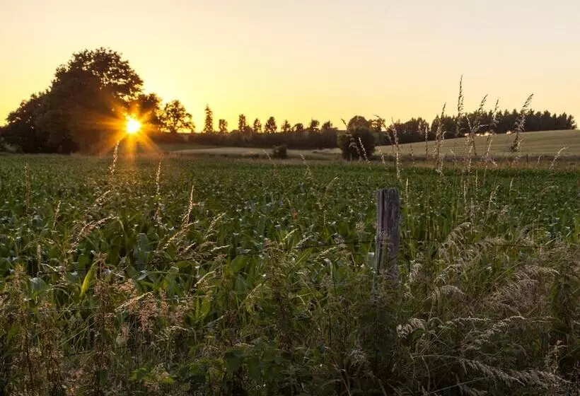 Bed and Breakfast Les Nuits Safranées